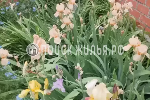 Дом под ключ «Этаж под ключ до 10 гостей»