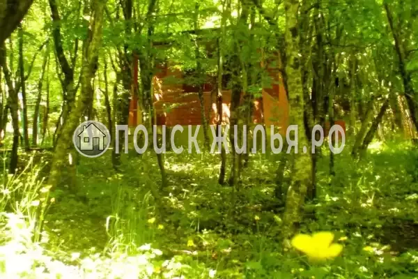 База отдыха «Нефтяник»