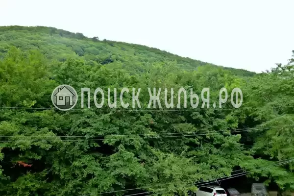 Частный сектор «Лесной»