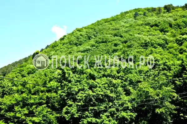 Частный сектор «Лесной»