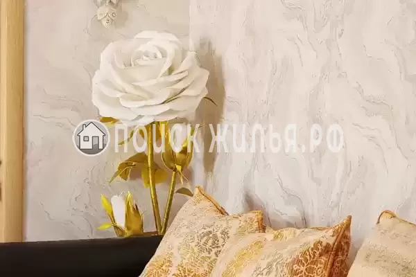 Частный сектор «Аэлита»