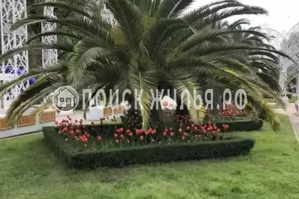 Апартаменты «Фисташка»