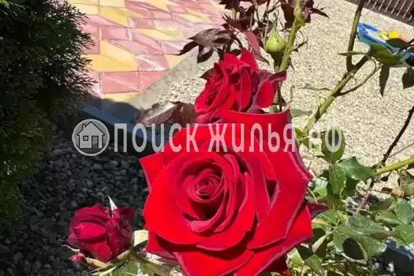 Дом под ключ, Новозападная, д.39