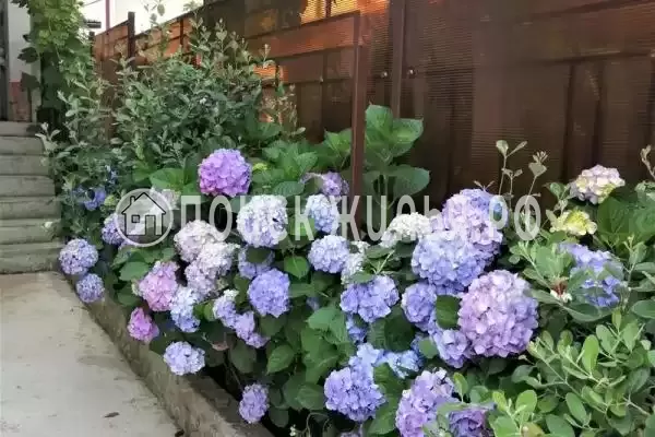 Апартаменты «Как дома» Апартаменты «Как дома»