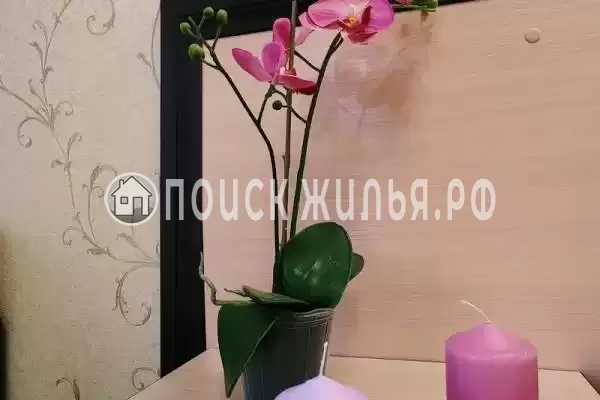 «Наутилус»