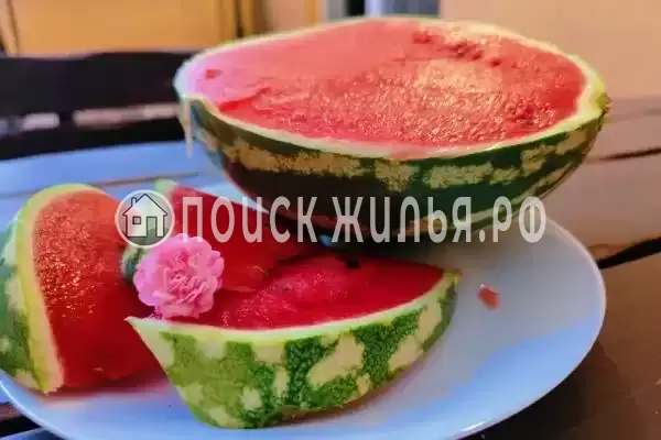 «Наутилус»