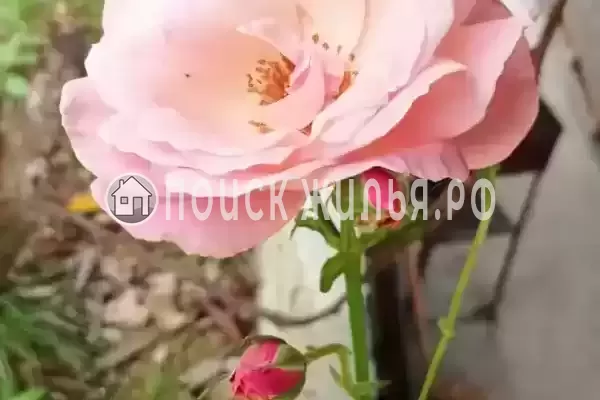 Дом под ключ, Джамала Смыр, д.3 Дом под ключ, Джамала Смыр, д.3