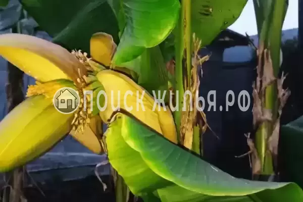 Дом под ключ, Джамала Смыр, д.3 Дом под ключ, Джамала Смыр, д.3