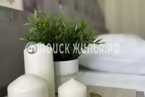 «Каролина»