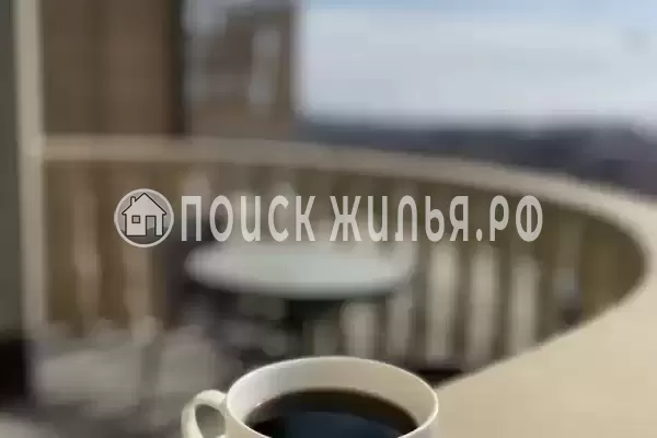 «Каролина»