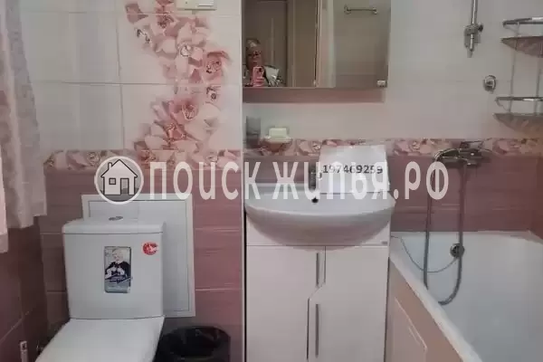 Квартира «Питон»